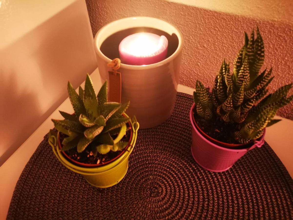 Apartamento De Raa トレビエハ エクステリア 写真